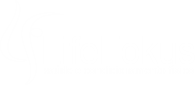 Life Fokus